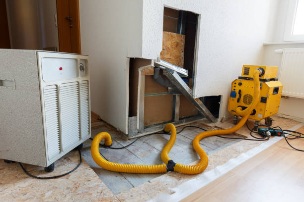 Mold Removal for HVAC Installations in Sharpes, FL