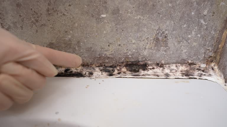 Best Mold-Related Health Consultation  in Sharpes, FL